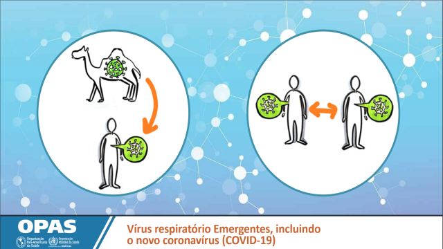 Coronavirus (COVID-19), OMS