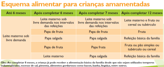 Mitos e verdades sobre alimentação